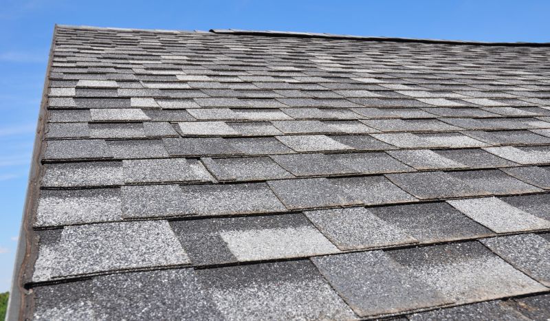 Specialized Roofing Companies